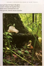 Whimm's Enchanting Book of Fairy Trails, soft cover