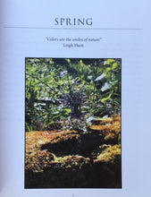 Whimm's Enchanting Book of Fairy Trails, soft cover