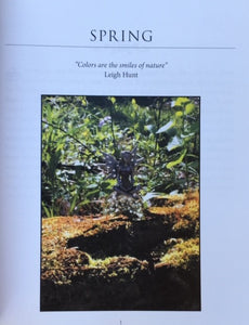 Whimm's Enchanting Book of Fairy Trails, soft cover