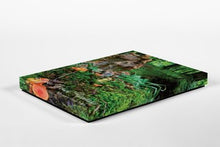 Canvas Print.  Live Your Fantasy. 12 x 16"