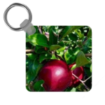 Key Ring. Bountiful Harvest