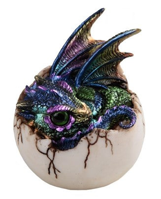 Dragon. Iridescent. Hatching