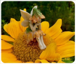 Mousepad, std-sized **Sunflower Respite**