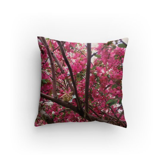 Pillow. Large 14 x 14